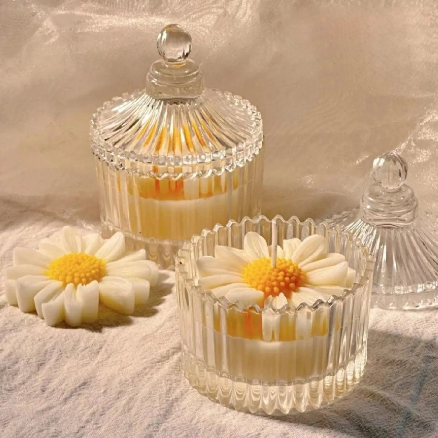 Elegant Daisy Flower Scented Candle in Premium Ribbed Glass Jar with Decorative Lid